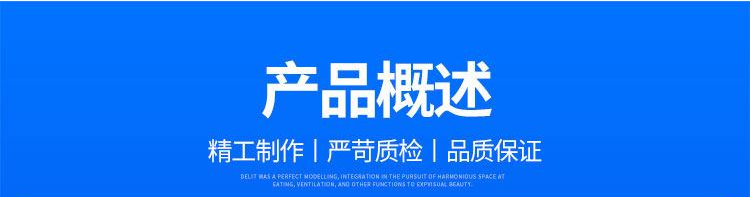 产品概述111_副本.png